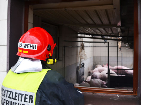 Brand in Schweinezuchtbetrieb