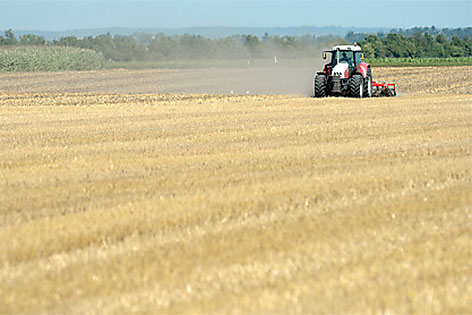 Traktor auf einem Getreidefeld im Marchfeld