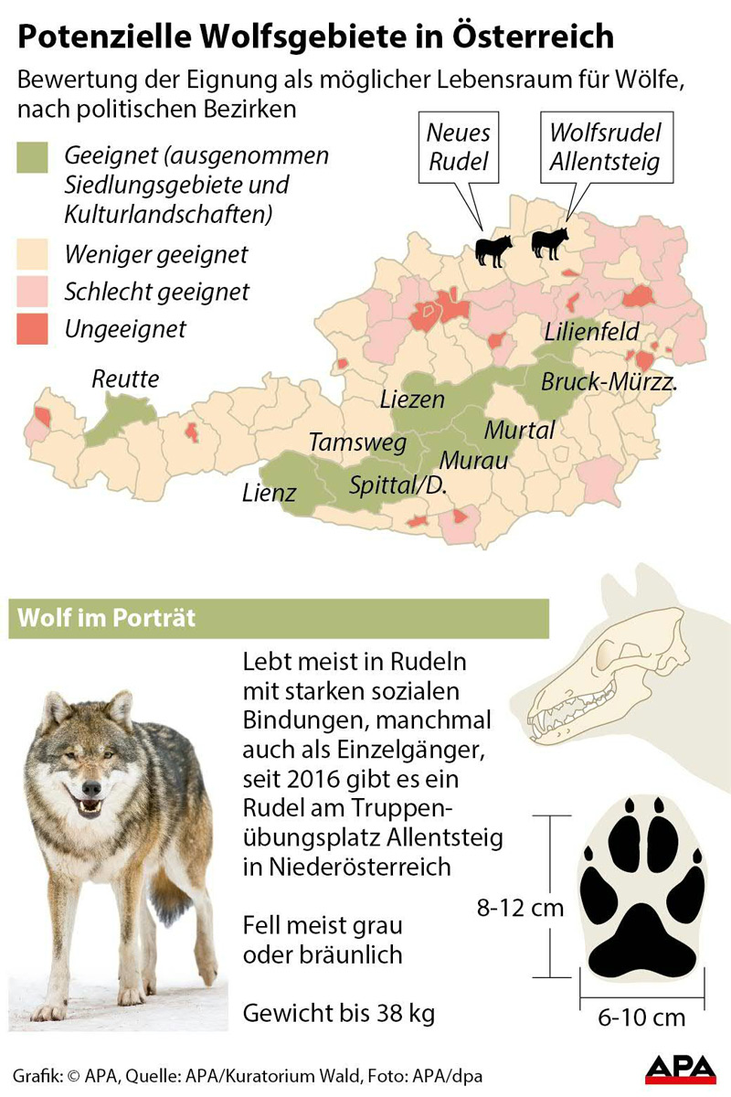 Bewertung der Eignung als möglicher Lebensraum für Wölfe, nach politischen Bezirken - Karte; Factbox zum Wolf