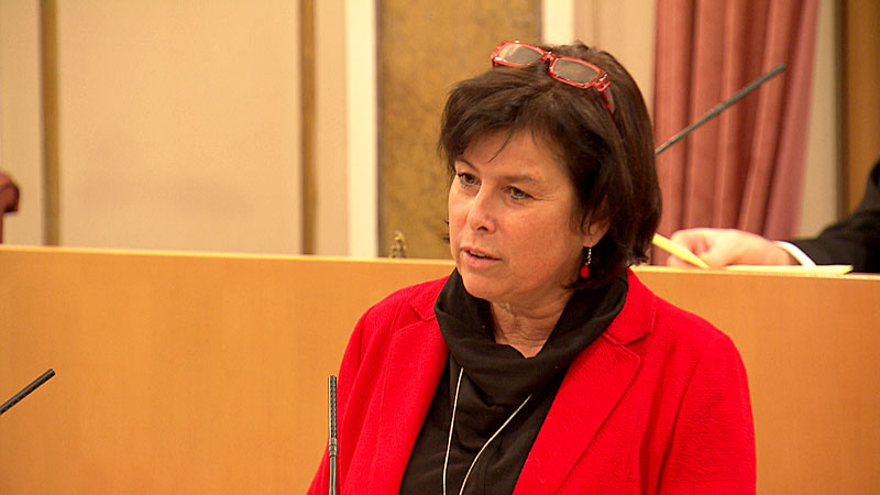 Birgit Gerstorfer im Landtag