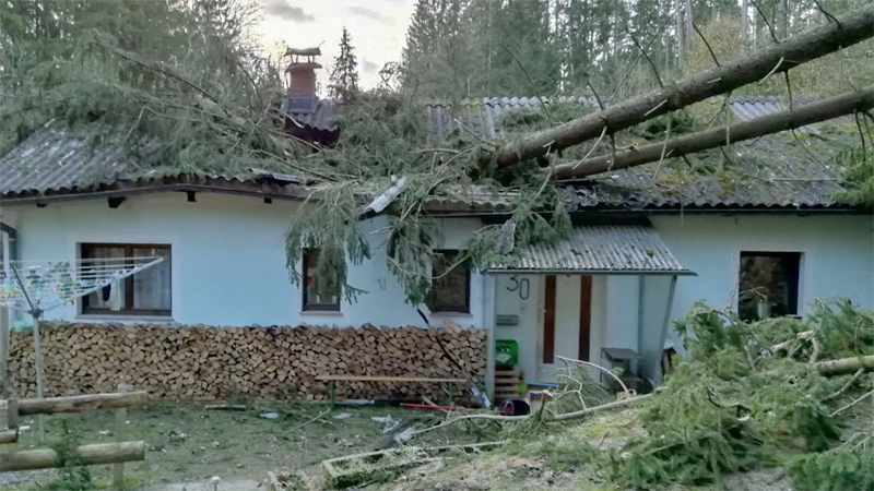 Bäume auf Haus gestürzt