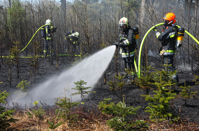 Feuerwehrleute beim Löschen brennender junger Christbäume