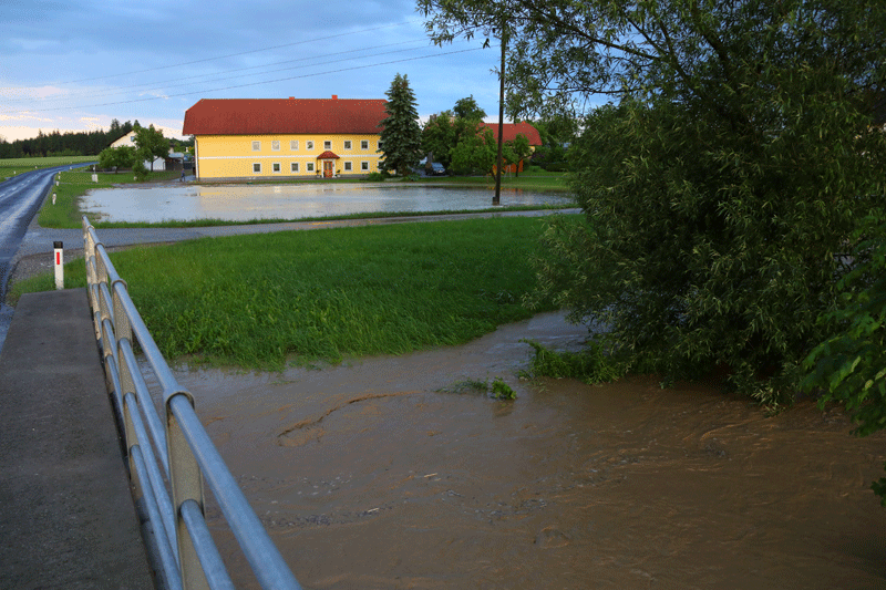 überschwemmtes Bachbett und Wiese in Heiligenberg, Bezirk Grieskirchen